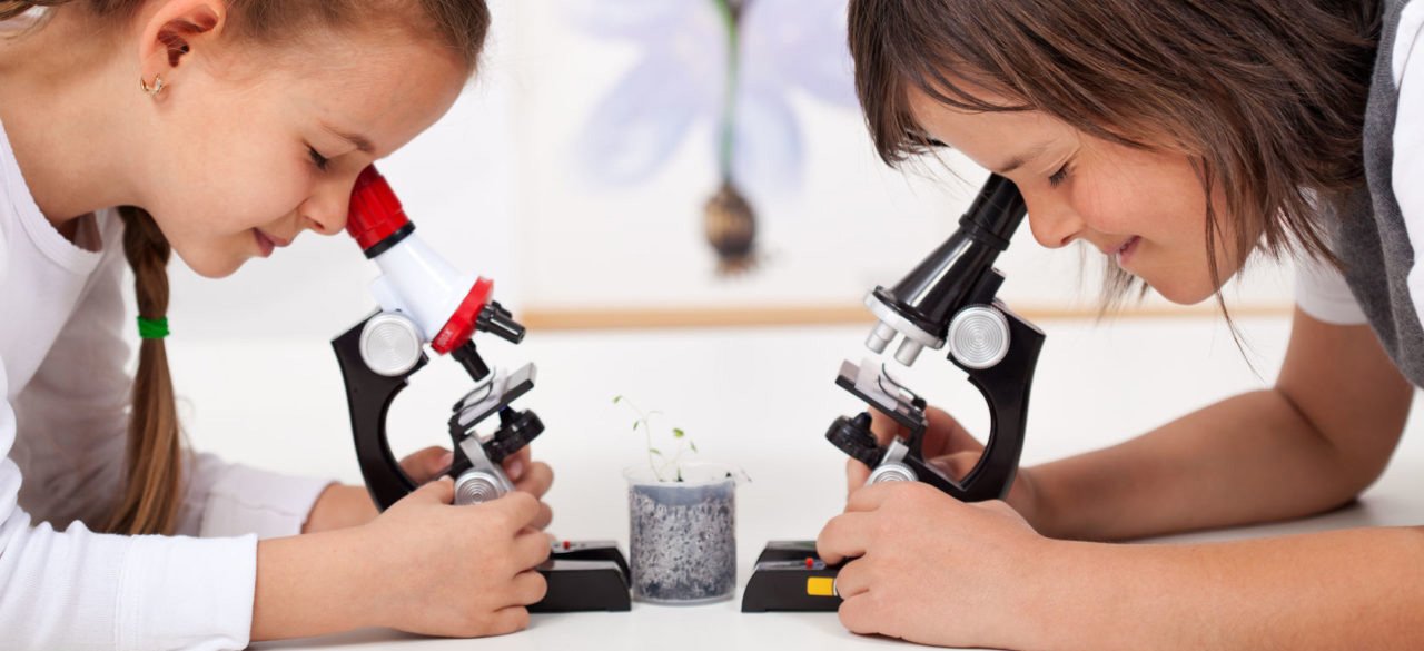 микроскопы детские в Дзержинске